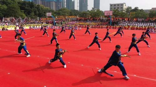 国产强操,引领科技潮流,铸就民族品牌辉煌 第3张 国产强操,引领科技潮流,铸就民族品牌辉煌 第3张