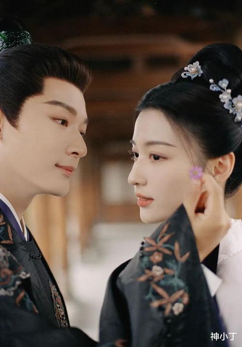 极品国产视频,极致视听盛宴，带你领略国产视频的魅力  第3张