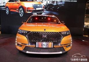 国产在线2019  第2张