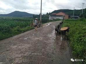 国产三级乡下,国产三级电影的乡村画卷  第3张