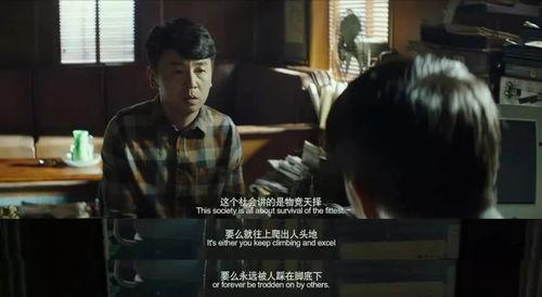 国产电影视频,国产电影中的时代印记与情感共鸣  第3张