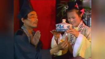 国产老太太视频,温情瞬间，展现夕阳岁月美好时光  第2张